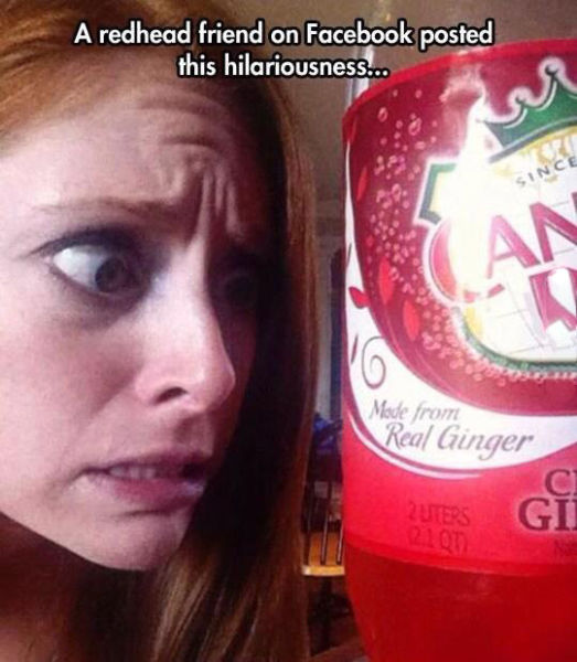 page,15,top 450 funny pics of the year 2015.html - 1 HD Photos | Premium Gallery 2015