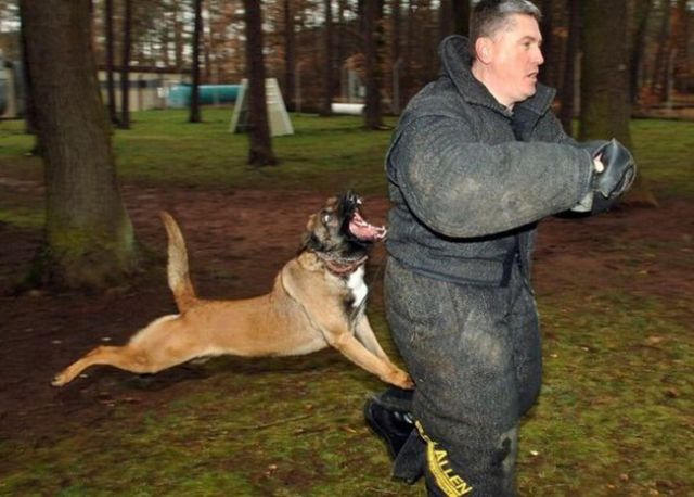 morning picdump 57 pics 1.html - 57 HD Photos | Premium Gallery 2015