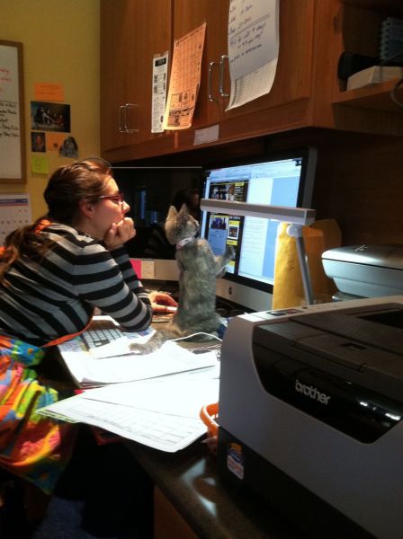 page,25,top 1500 daily pics of the year 2015.html - 1 HD Photos | Premium Gallery 2015