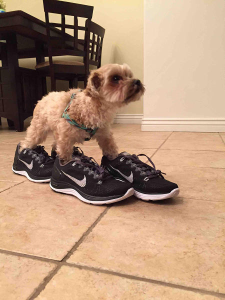 morning picdump 55 pics 27.html - 55 HD Photos | Premium Gallery 2015
