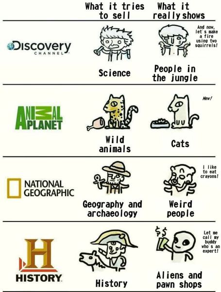 page,6,top 450 funny pics of the year 2015.html - 1 HD Photos | Premium Gallery 2015