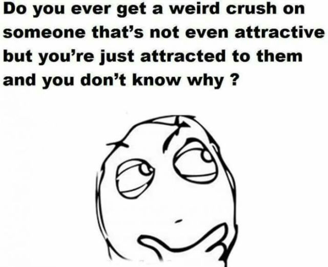 page,16,top 450 funny pics of the year 2015.html - 1 HD Photos | Premium Gallery 2015