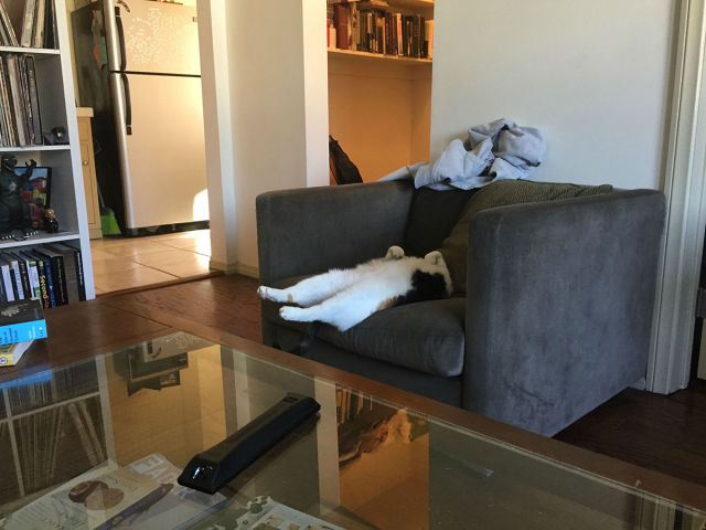 morning picdump 51 pics 23.html - 51 HD Photos | Premium Gallery 2015