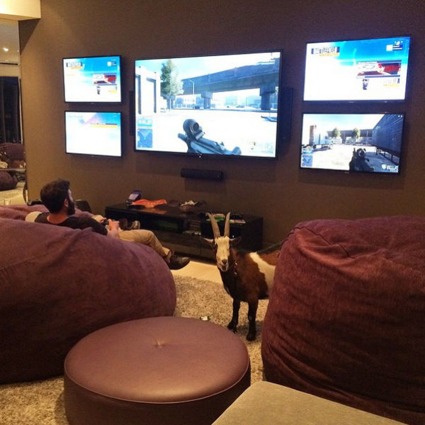 Dan Bilzerian Shares His Awesome Luxury Life on Instagram