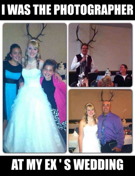 page,16,top 450 funny pics of the year 2015.html - 1 HD Photos | Premium Gallery 2015