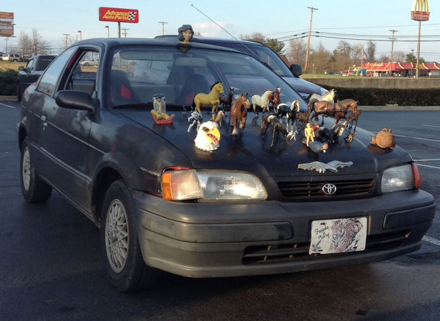 Morning Picdump
