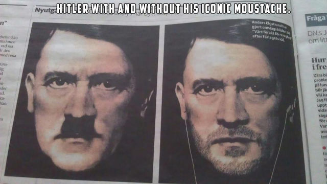 Morning Picdump