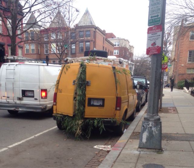 Morning Picdump
