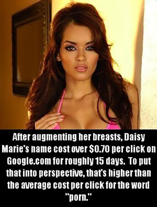 Update Your Porn Star Knowledge with These Fun Facts