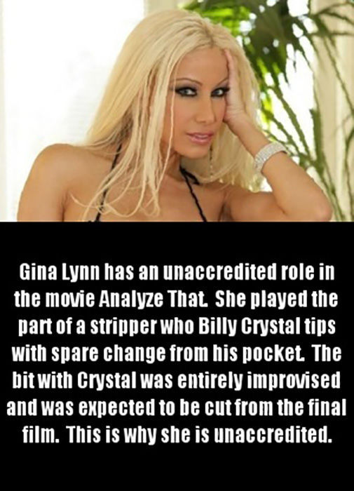 Update Your Porn Star Knowledge with These Fun Facts