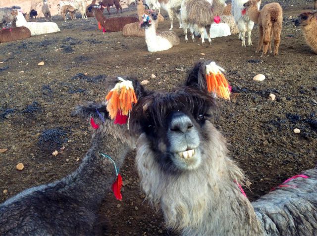 Morning Picdump