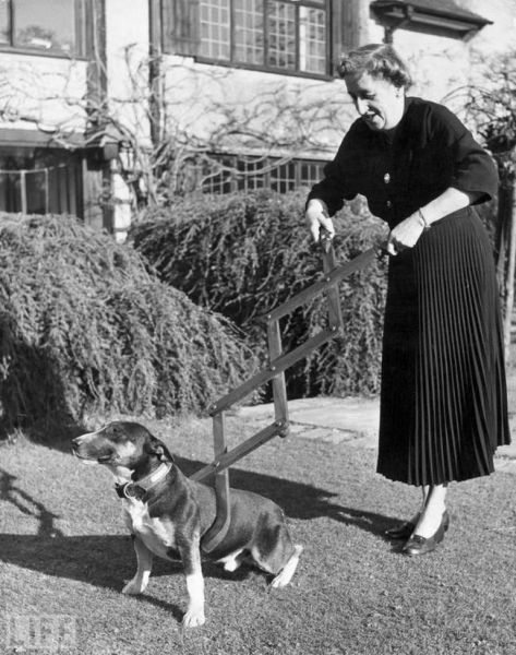 Quirky Items That People Once Used