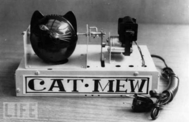 Quirky Items That People Once Used