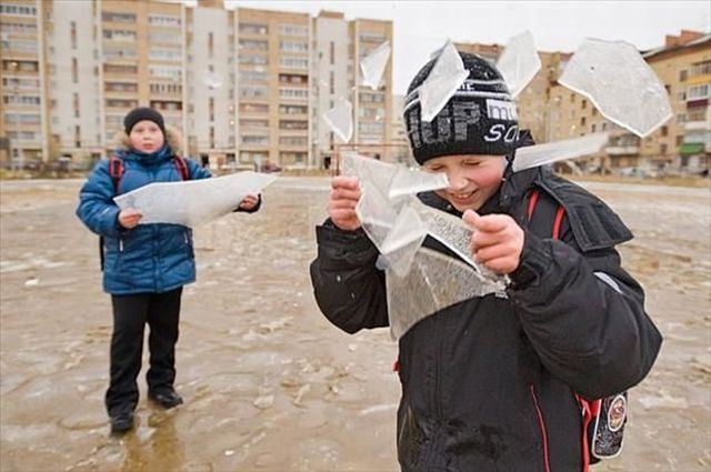 funny picdump 51 pics 2.html - 51 HD Photos | Premium Gallery 2015