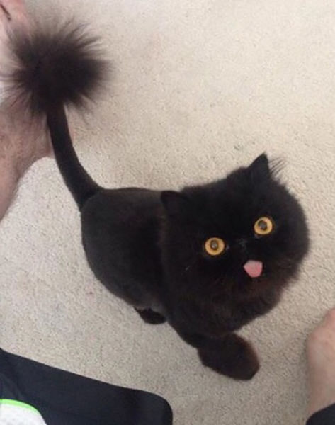 morning picdump 52 pics 19.html - 52 HD Photos | Premium Gallery 2015