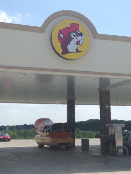 morning picdump 52 pics 19.html - 52 HD Photos | Premium Gallery 2015