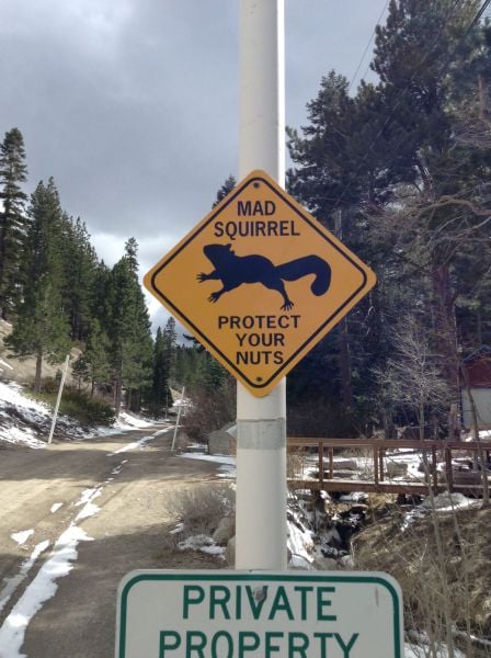 page,14,top 1500 daily pics of the year 2015.html - 1 HD Photos | Premium Gallery 2015