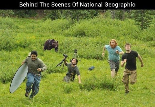 page,26,top 1500 daily pics of the year 2015.html - 1 HD Photos | Premium Gallery 2015