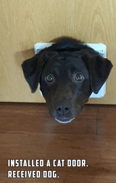 page,14,top 750 morning pics of the year 2015.html - 1 HD Photos | Premium Gallery 2015