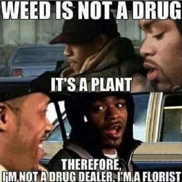 page,10,top 450 funny pics of the year 2015.html - 1 HD Photos | Premium Gallery 2015