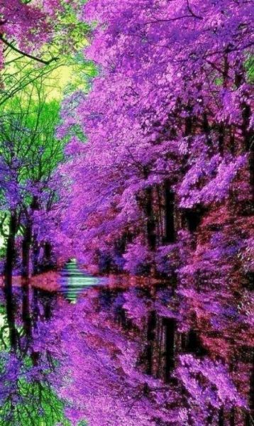 page,48,top 1500 daily pics of the year 2015.html - 1 HD Photos | Premium Gallery 2015