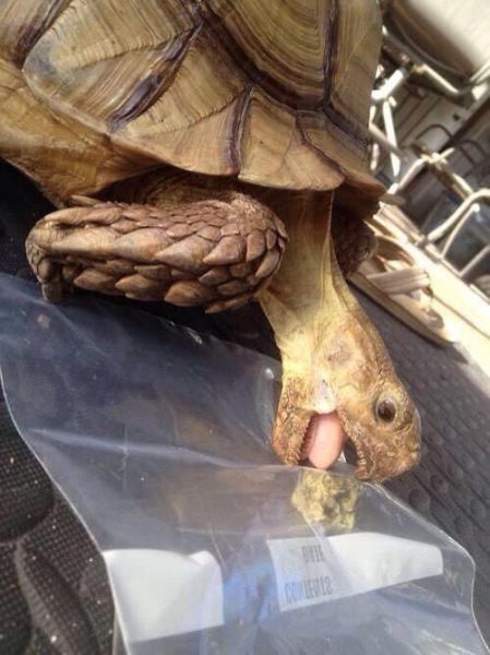 Morning Picdump