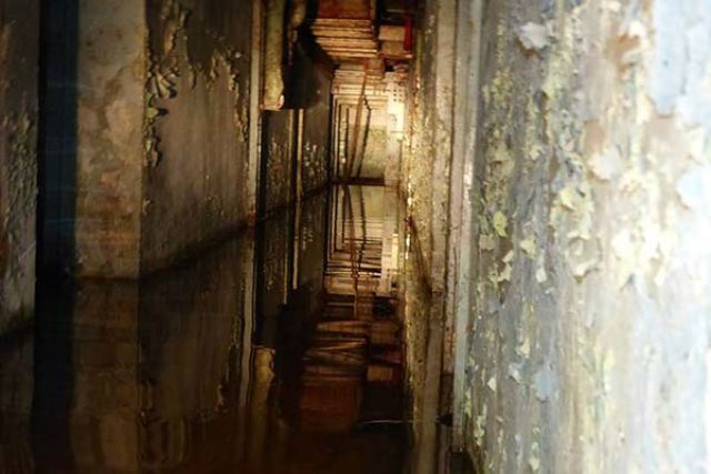Scary Underground Tunnel Discovered Under a Neglected Home