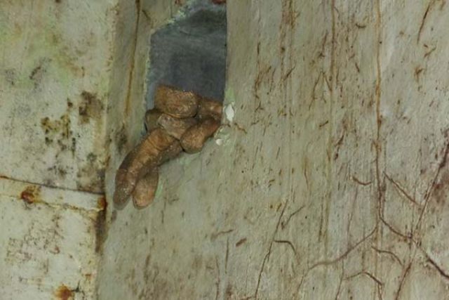 Scary Underground Tunnel Discovered Under a Neglected Home