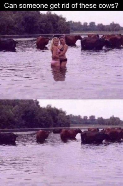 page,11,top 450 funny pics of the year 2015.html - 1 HD Photos | Premium Gallery 2015