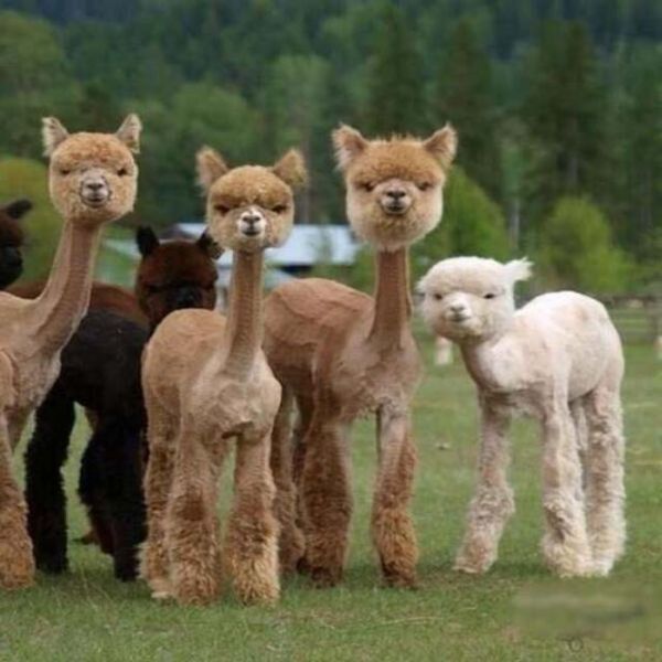 Morning Picdump