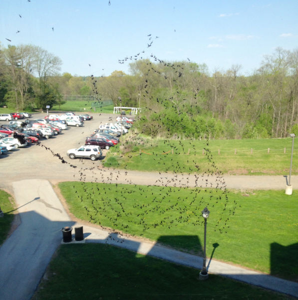 morning picdump 54 pics 7.html - 54 HD Photos | Premium Gallery 2015