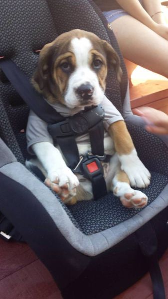 daily picdump 107 pics 1.html - 107 HD Photos | Premium Gallery 2015