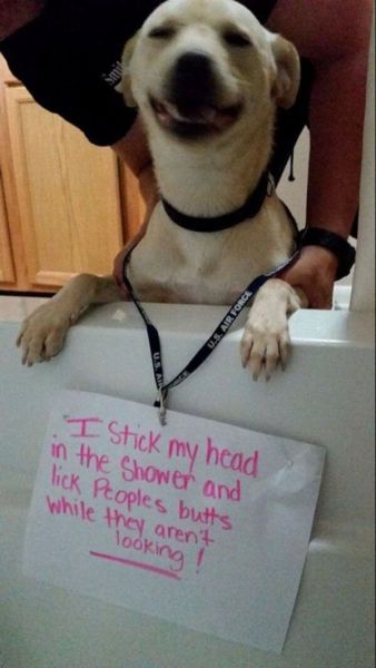 daily picdump 107 pics 1.html - 107 HD Photos | Premium Gallery 2015