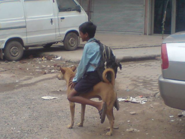 Morning Picdump