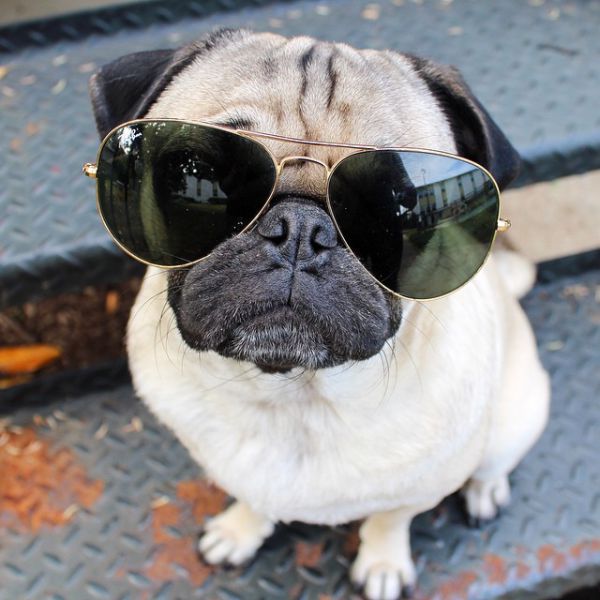 Morning Picdump