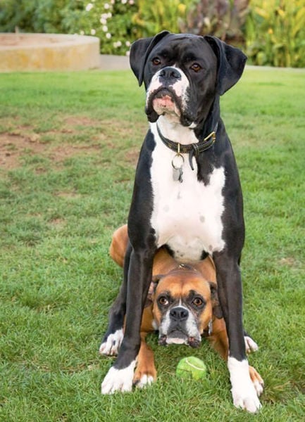 daily picdump 99 pics 41.html - 99 HD Photos | Premium Gallery 2015
