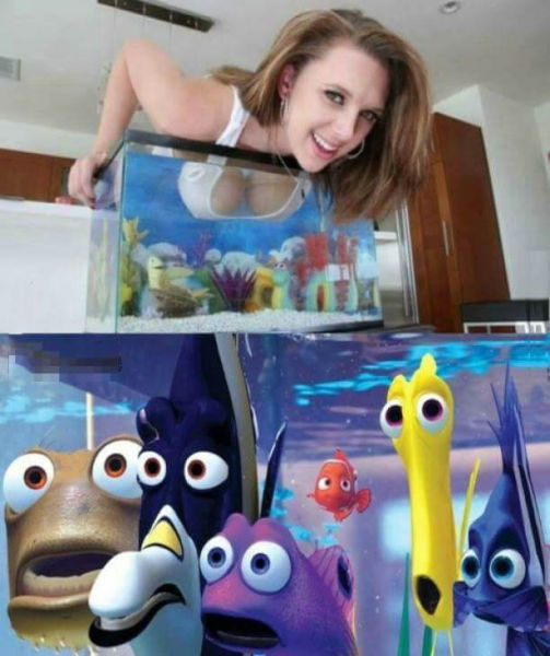 page,11,top 450 funny pics of the year 2015.html - 1 HD Photos | Premium Gallery 2015