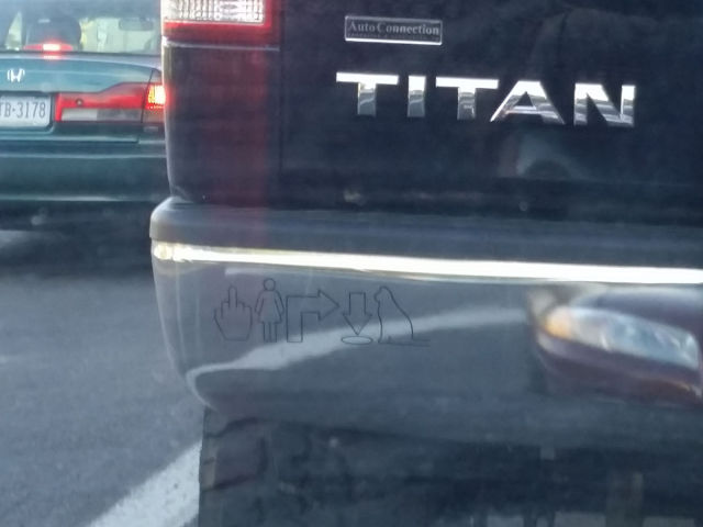 Morning Picdump