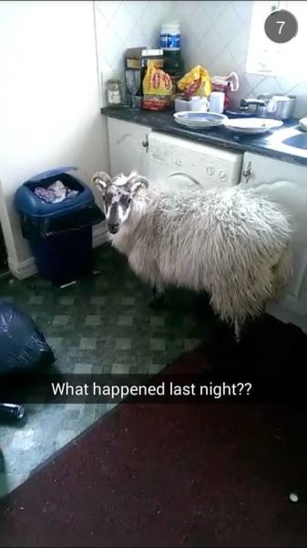 Daily Picdump