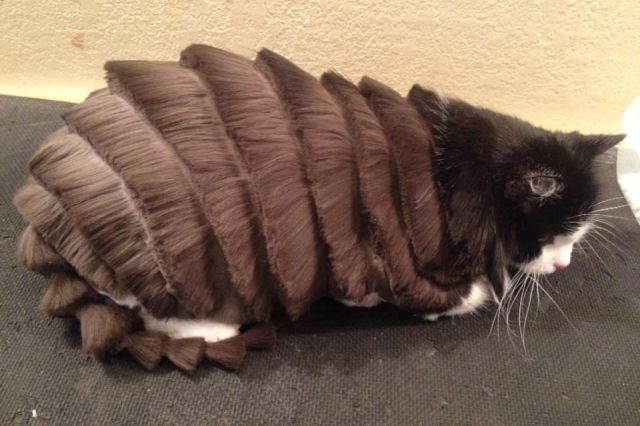 Morning Picdump