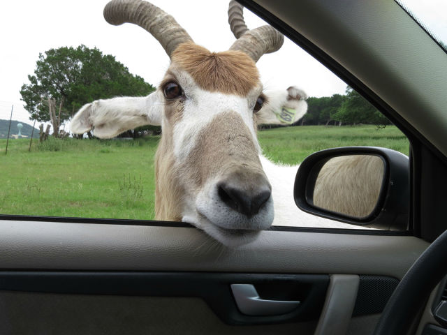 Morning Picdump