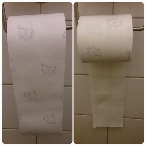 Morning Picdump