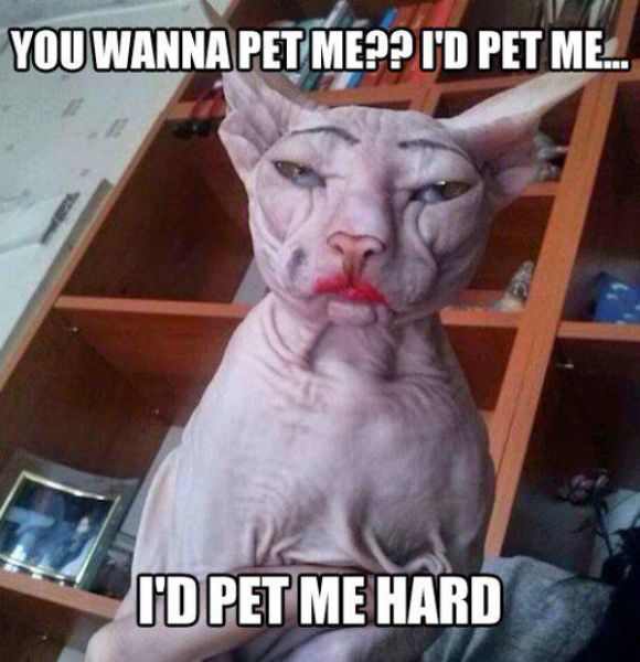 Pictures for Those With Dirty Minds