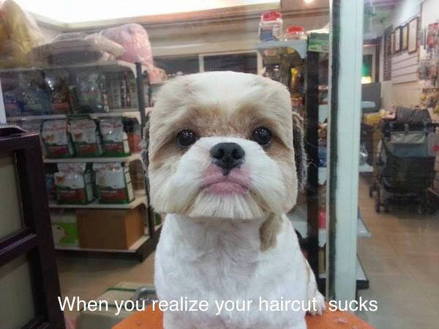 Morning Picdump