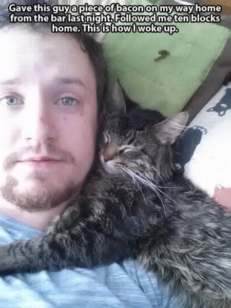 page,14,top 1500 daily pics of the year 2015.html - 1 HD Photos | Premium Gallery 2015