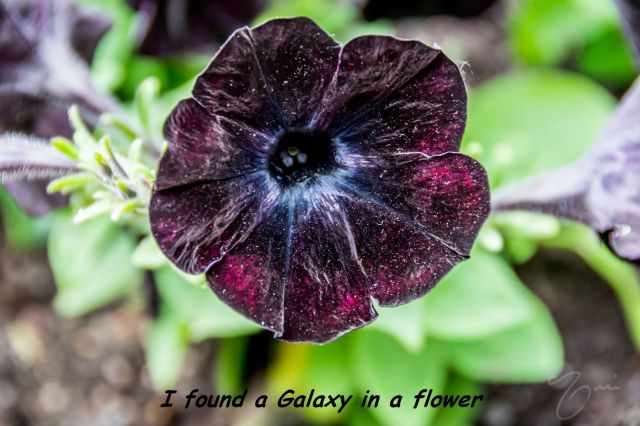 page,20,top 1500 daily pics of the year 2015.html - 1 HD Photos | Premium Gallery 2015