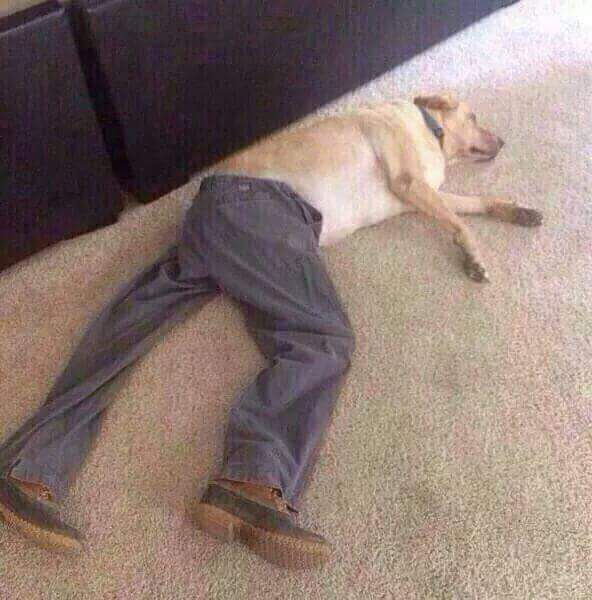 morning picdump 52 pics 16.html - 52 HD Photos | Premium Gallery 2015