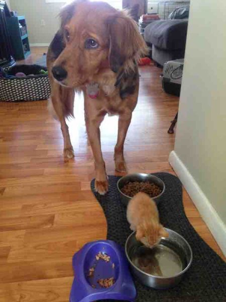 page,60,top 1500 daily pics of the year 2015.html - 1 HD Photos | Premium Gallery 2015