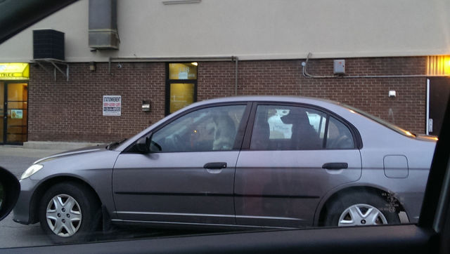 Morning Picdump