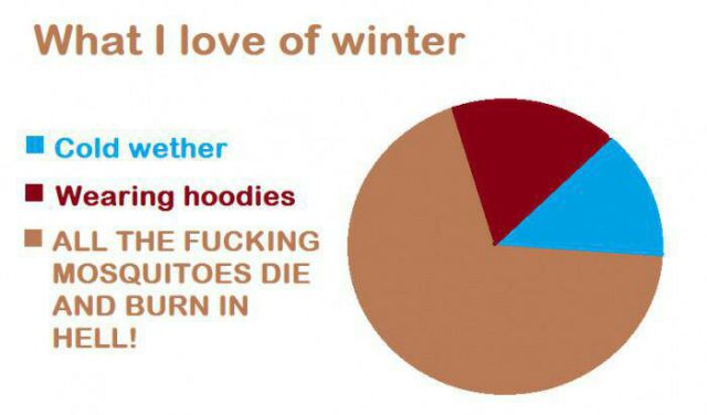 page,11,top 450 funny pics of the year 2015.html - 1 HD Photos | Premium Gallery 2015